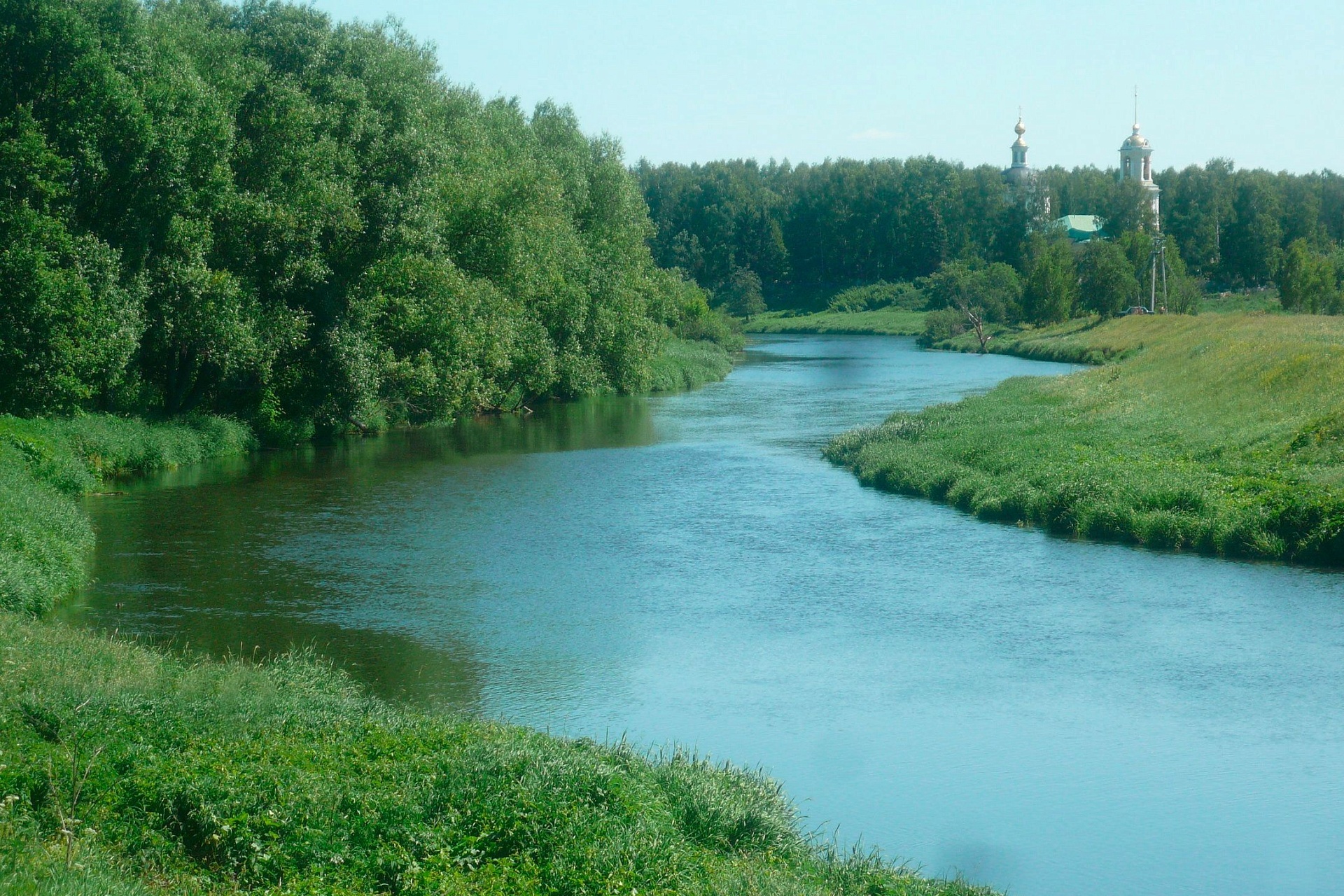 Фото Богородск Форест