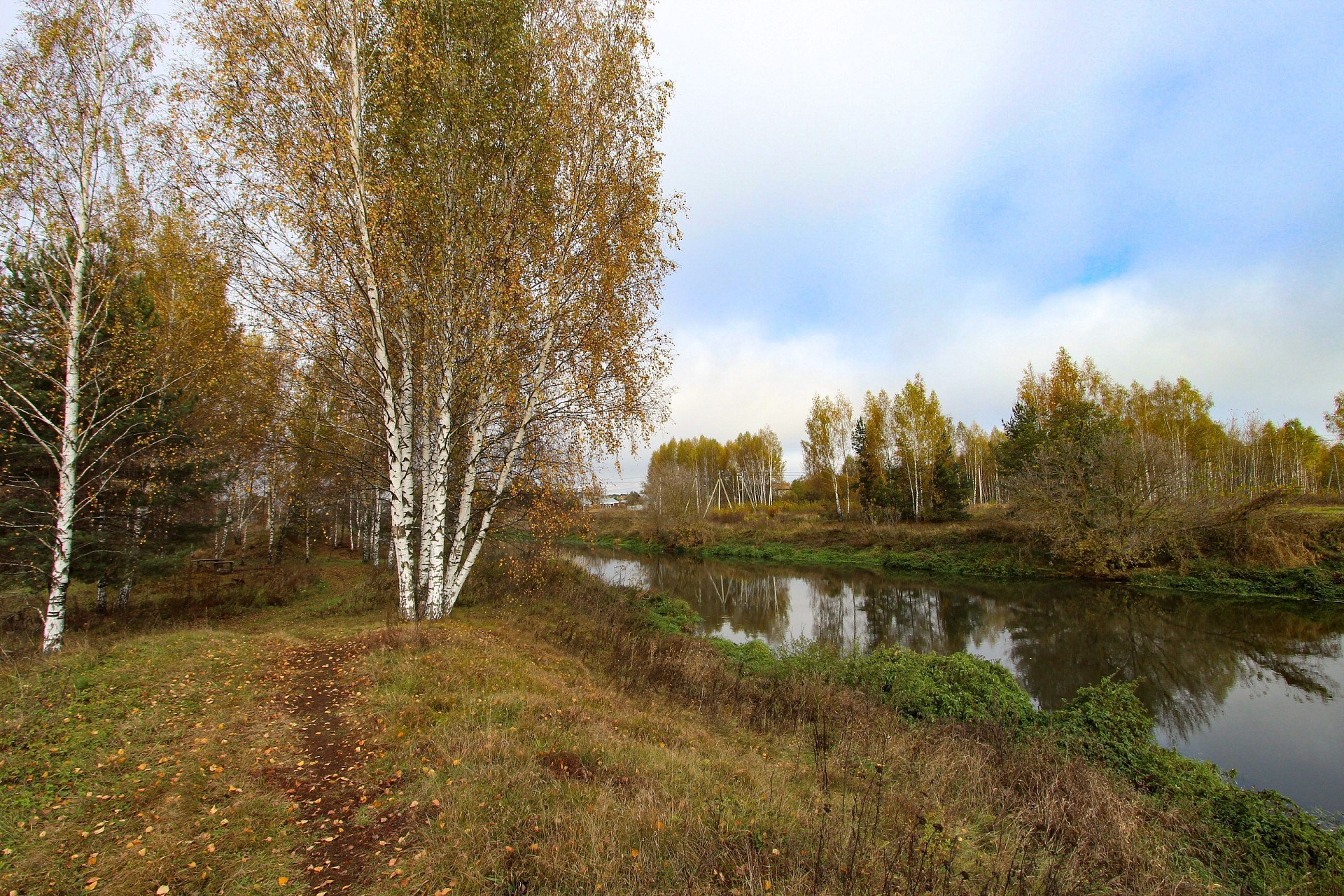 Фото Богородск Форест