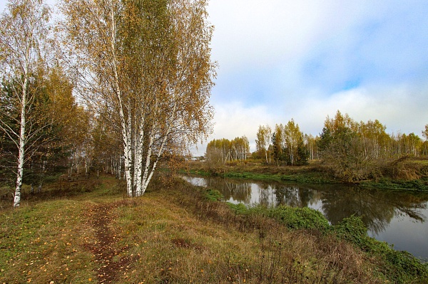 Коттеджный посёлок «Богородск Форест»